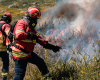 BOMBEROS FORESTALES